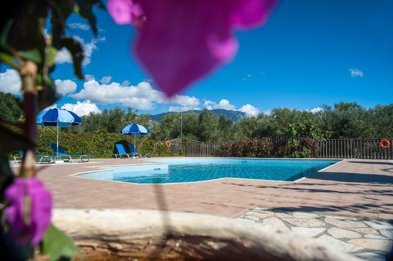 Leventis Villas Complex With Sharing Pool Spartia  Exterior foto